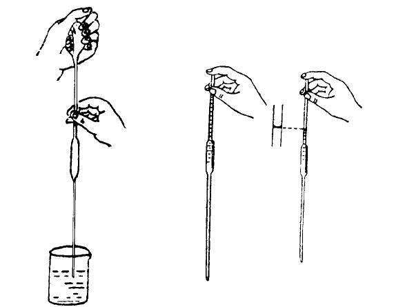 Serological pipettes