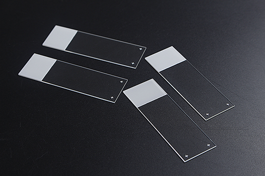 Positively Charged Glass Slides